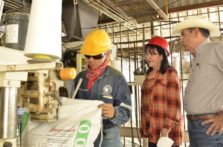 Reciben ganaderos apoyos del programa emergente contra la sequía en Sonora 