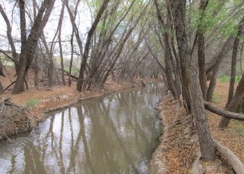 El Río Santa Cruz en peligro de extinción, grupos locales presionan para la designación de Refugio Nacional Urbano de Vida Silvestre.