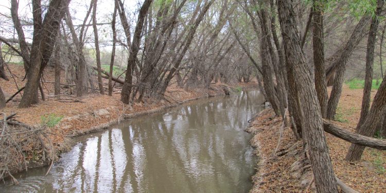 El Río Santa Cruz en peligro de extinción, grupos locales presionan para la designación de Refugio Nacional Urbano de Vida Silvestre.