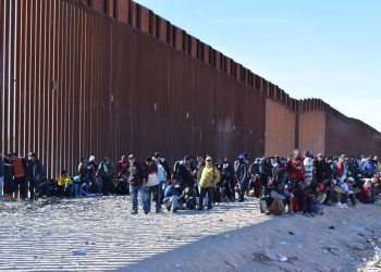 Un nuevo informe muestra que la migración en todo el mundo se ha recuperado desde la pandemia