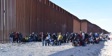 Un nuevo informe muestra que la migración en todo el mundo se ha recuperado desde la pandemia