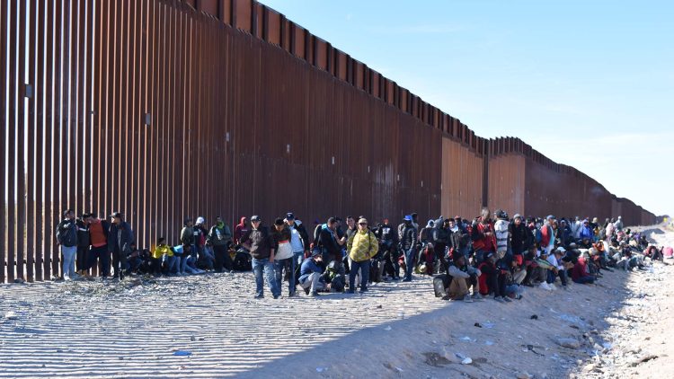 Un nuevo informe muestra que la migración en todo el mundo se ha recuperado desde la pandemia