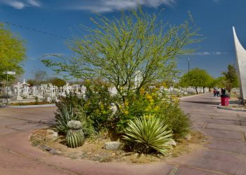 Con creación de Jardín Polinizador abren puertas laterales del Panteón Yáñez