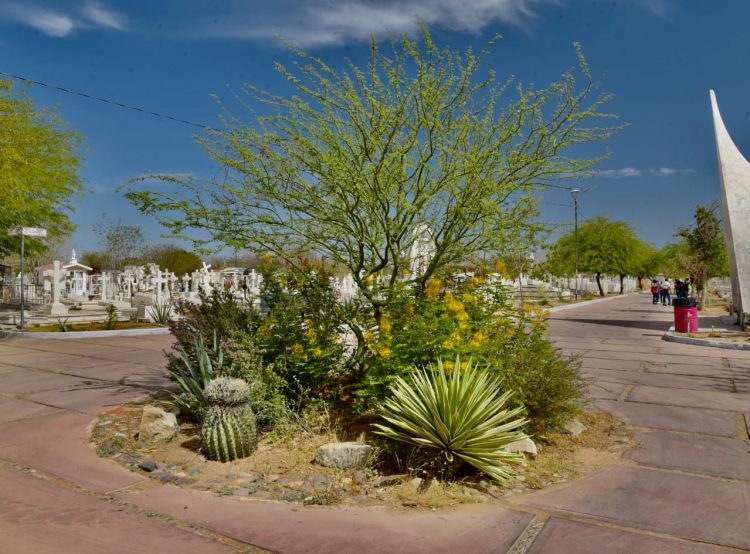 Con creación de Jardín Polinizador abren puertas laterales del Panteón Yáñez