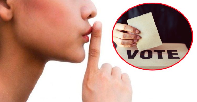 ¿Qué es y cómo funciona la veda electoral en México?