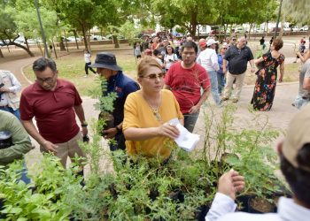 Celebra Gobierno Municipal exitosa Feria del Árbol en Parque Madero