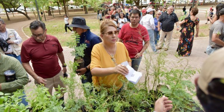 Celebra Gobierno Municipal exitosa Feria del Árbol en Parque Madero