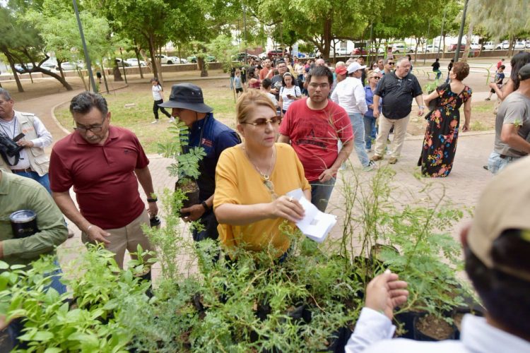 Celebra Gobierno Municipal exitosa Feria del Árbol en Parque Madero
