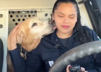 Bubu se jubila: así ha sido la emotiva despedida de este perro tras nueve años en la policía Mexicana
