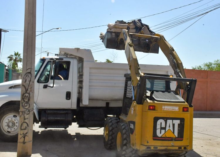 Realizan jornadas de descacharre en colonias de Hermosillo y Bahía de Kino