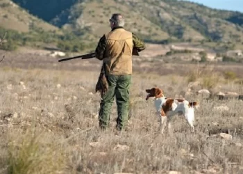 Denuncia Sedena “frena” caza deportiva en Sonora