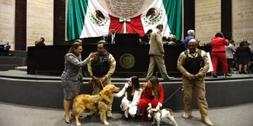 Diputados aprueban reformas en materia de protección de animales