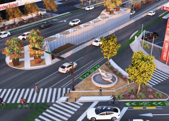 Más de 3 mil 900 especies de árboles y arbustos serán plantados en el proyecto integral de paso desnivel Colosio y Solidaridad