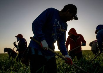 Inmigrantes se ausentan de escuelas y trabajo en Estados Unidos por miedo a redadas de ICE