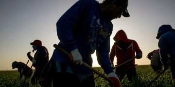 Inmigrantes se ausentan de escuelas y trabajo en Estados Unidos por miedo a redadas de ICE