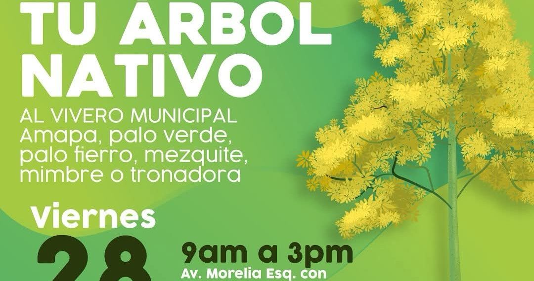 Donarán 500 árboles nativos en el Vivero Municipal