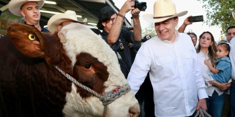 Gobernador Durazo reactiva exportación de ganado sonorense con cruce de más de 3 mil cabezas a Estados Unidos