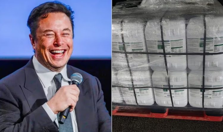 Elon Musk reacciona a decomiso de fentanilo en Sonora; “dudo que cárteles sean derrotados sin EU”