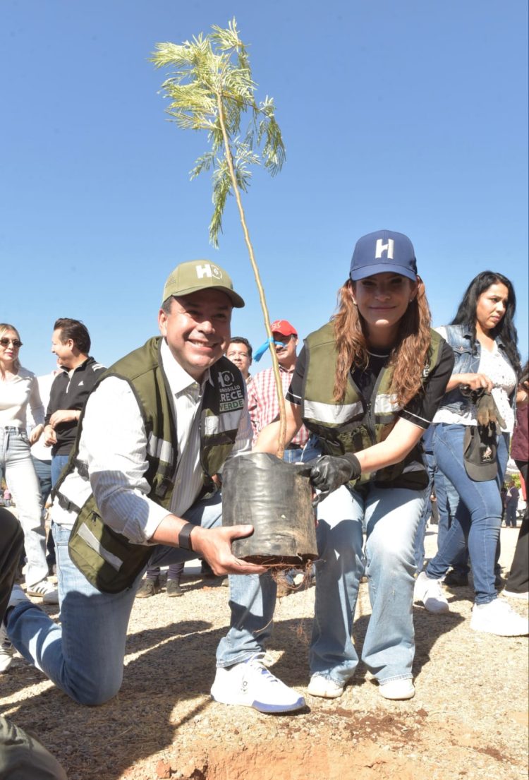 Reconocen gobierno de Toño Astiazarán por arborización e innovación en el cuidado de árboles