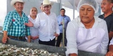 Gobernador Durazo posiciona a Sonora como líder nacional en producción de camarón