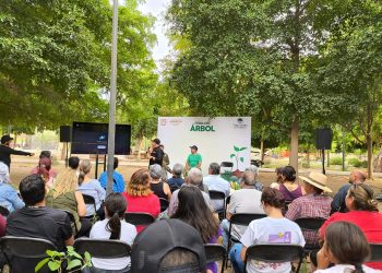 Logra Gobieno de Hermosillo récord en jornada de donación de plantas nativas