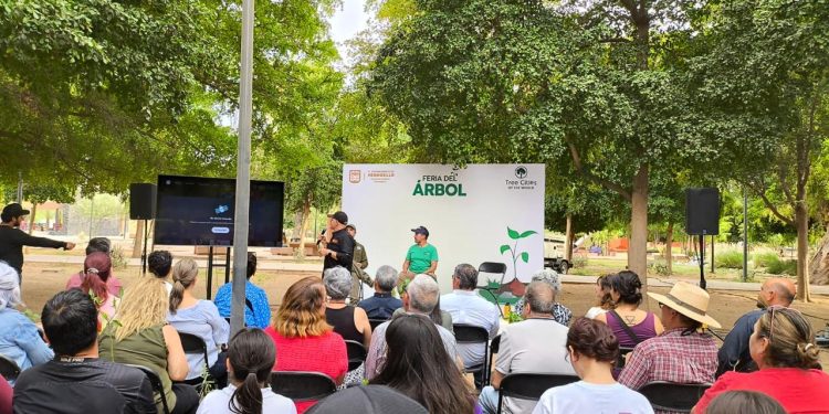 Logra Gobieno de Hermosillo récord en jornada de donación de plantas nativas