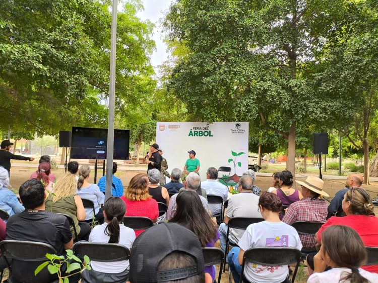 Logra Gobieno de Hermosillo récord en jornada de donación de plantas nativas