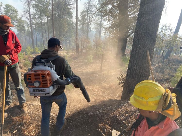 Avanza control de incendio forestal en Nácori Chico