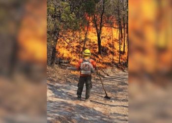 Brigadistas luchan en Sonora para contener 4 incendios forestales