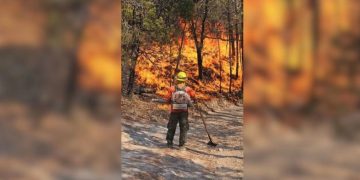 Brigadistas luchan en Sonora para contener 4 incendios forestales