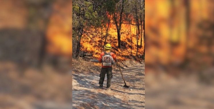 Brigadistas luchan en Sonora para contener 4 incendios forestales