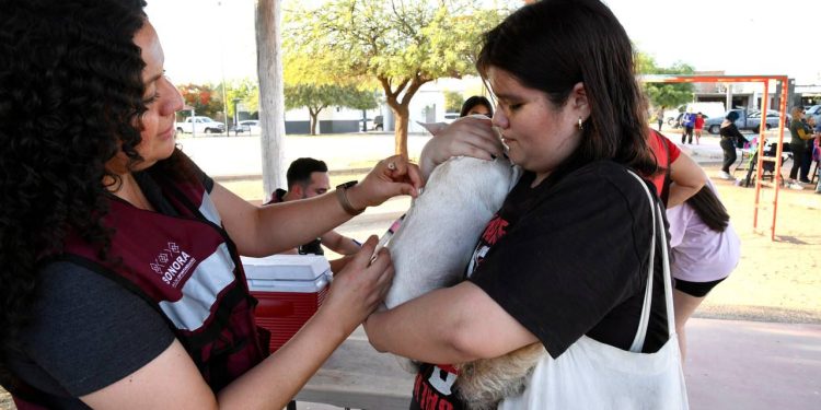 Gobernador Durazo acerca servicios gratuitos de “Sonora Atiende” a familias de la colonia Palo Verde