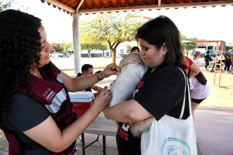 Gobernador Durazo acerca servicios gratuitos de “Sonora Atiende” a familias de la colonia Palo Verde