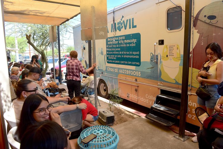 Registra administración de Toño Astiazarán casi 10 mil esterilizaciones de animales en la primera mitad del año