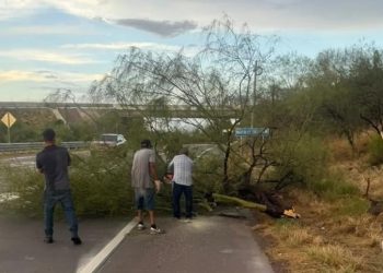 Daños por lluvias en Magdalena de Kino, Sonora; previenen por ola de calor en el Norte de Sonora