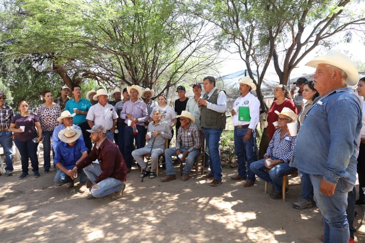 “Impulsa Presidenta Sheinbaum al campo sonorense con Sembrando Vida; van más de 245 millones de pesos este año”: Octavio Almada