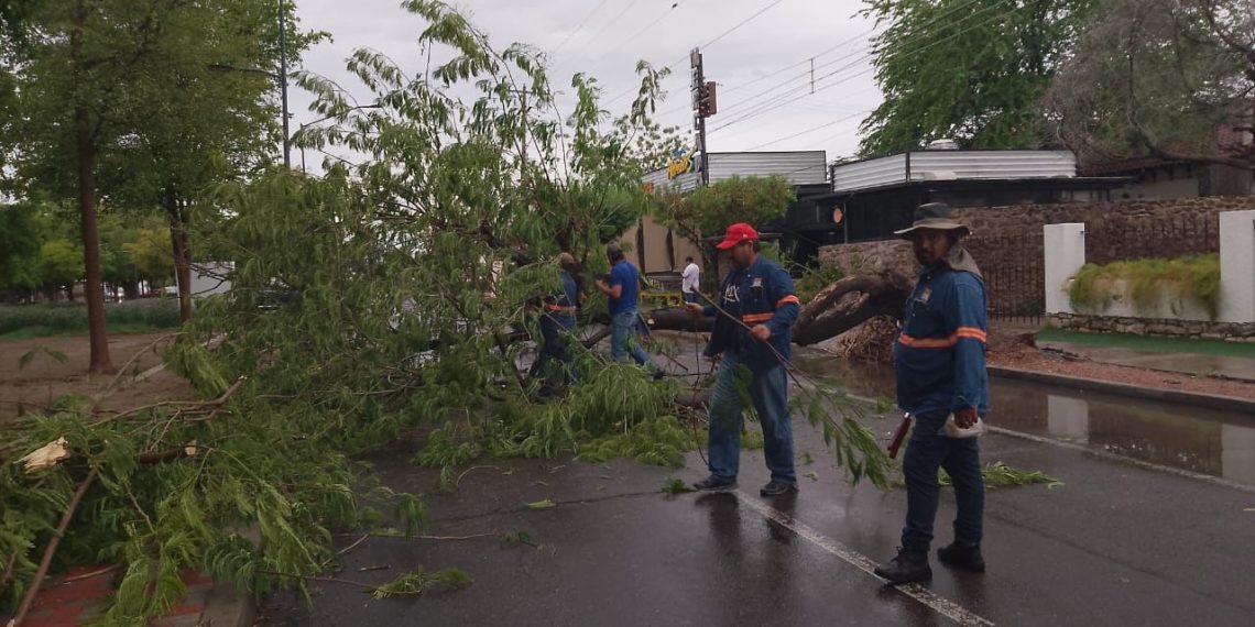 Ayuntamiento de Hermosillo refuerza acciones ante intensas lluvias: Comité de Emergencia en sesión permanente