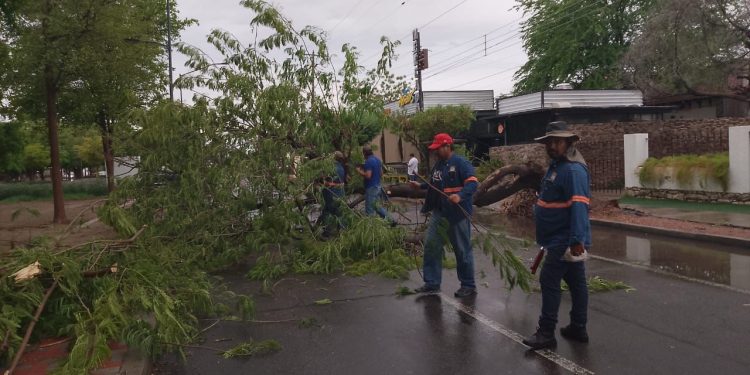 Ayuntamiento de Hermosillo refuerza acciones ante intensas lluvias: Comité de Emergencia en sesión permanente