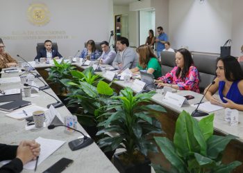 Analiza Congreso de Sonora reforma para facilitar las adopciones