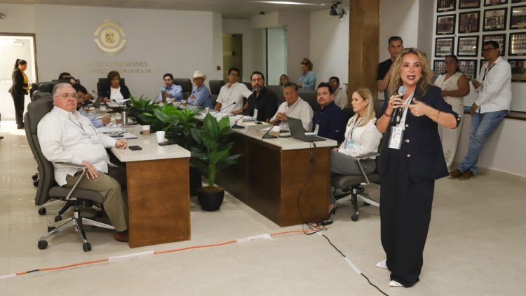 Analizan en comisión propuestas de Planos y Tablas de Valores 2026 junto con representantes de ayuntamientos