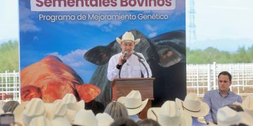 Gobernador Durazo beneficia a pequeños y medianos ganaderos sonorenses con entrega de maquinaria y sementales bovinos