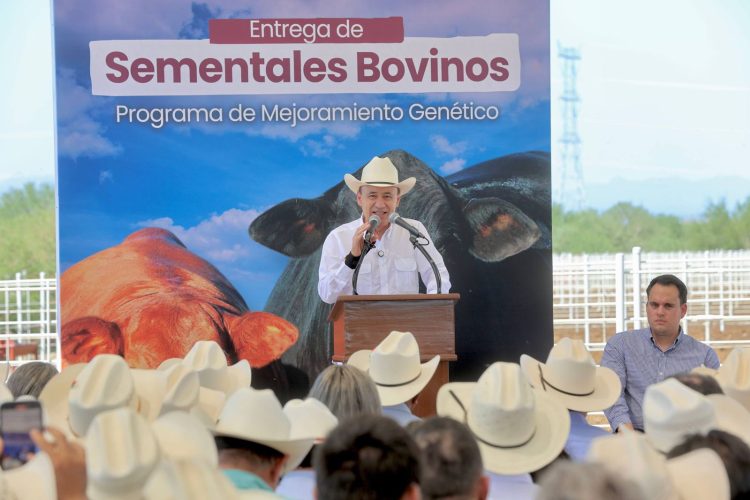 Gobernador Durazo beneficia a pequeños y medianos ganaderos sonorenses con entrega de maquinaria y sementales bovinos