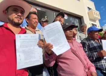 Productores de maíz en Campeche aceptan precio de 6 mil 800 pesos por tonelada