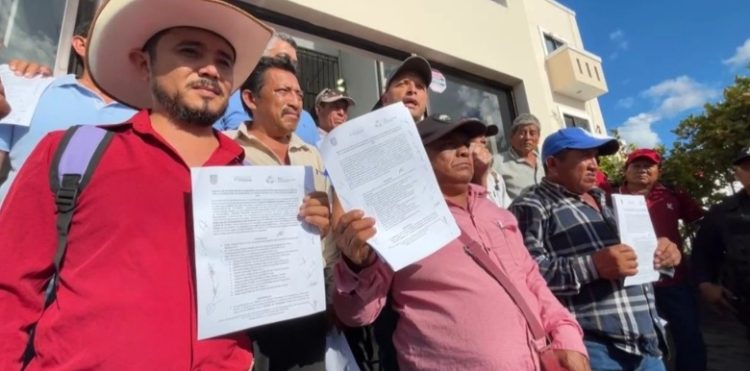 Productores de maíz en Campeche aceptan precio de 6 mil 800 pesos por tonelada