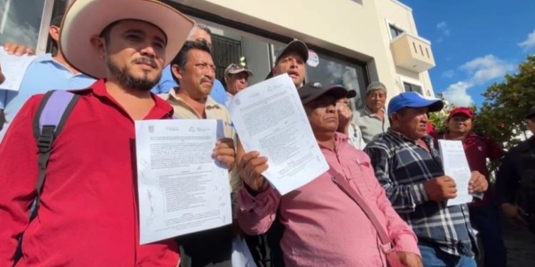 Productores de maíz en Campeche aceptan precio de 6 mil 800 pesos por tonelada