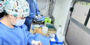 Reconoce Instituto Municipal de Protección y Bienestar Animal a rescatistas por sumarse a jornadas de esterilizaciones