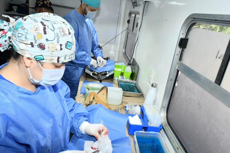 Reconoce Instituto Municipal de Protección y Bienestar Animal a rescatistas por sumarse a jornadas de esterilizaciones