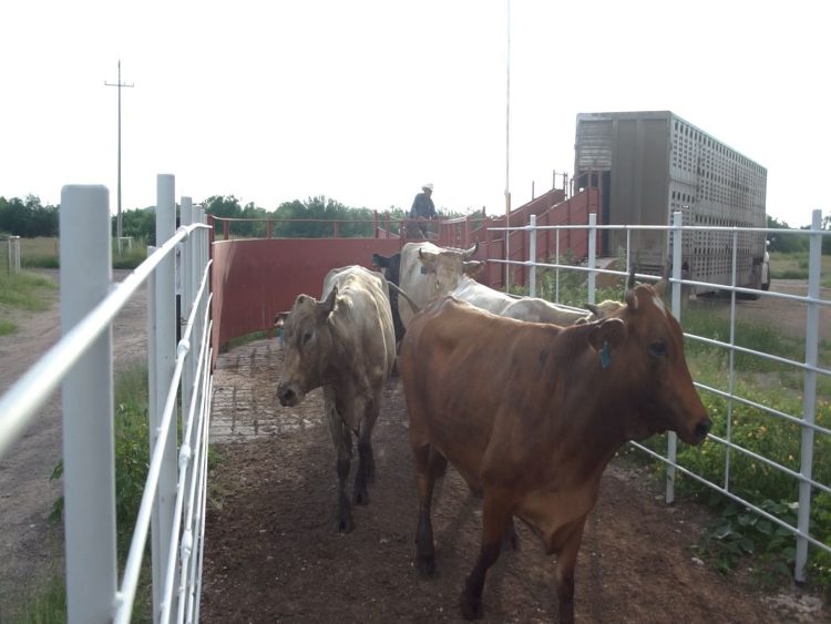 Durazo logra alianza con UGRS e impulsan más de 800 millones para parque industrial y modernización ganadera