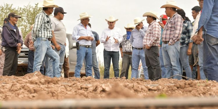 Con liderazgo de Gobernador Durazo se fortalece el campo sonorense; crece 18% actividad primaria