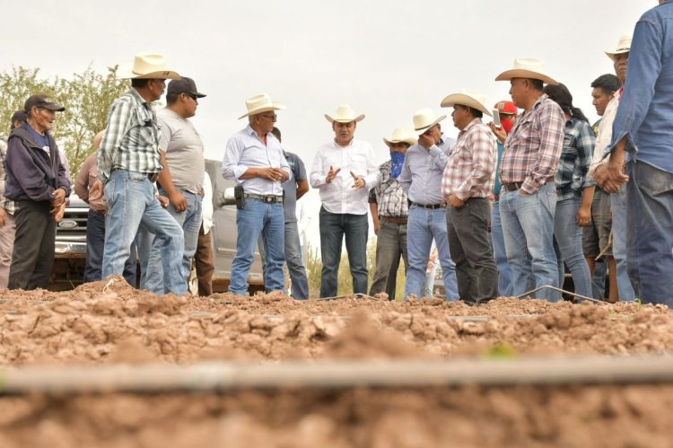 Con liderazgo de Gobernador Durazo se fortalece el campo sonorense; crece 18% actividad primaria